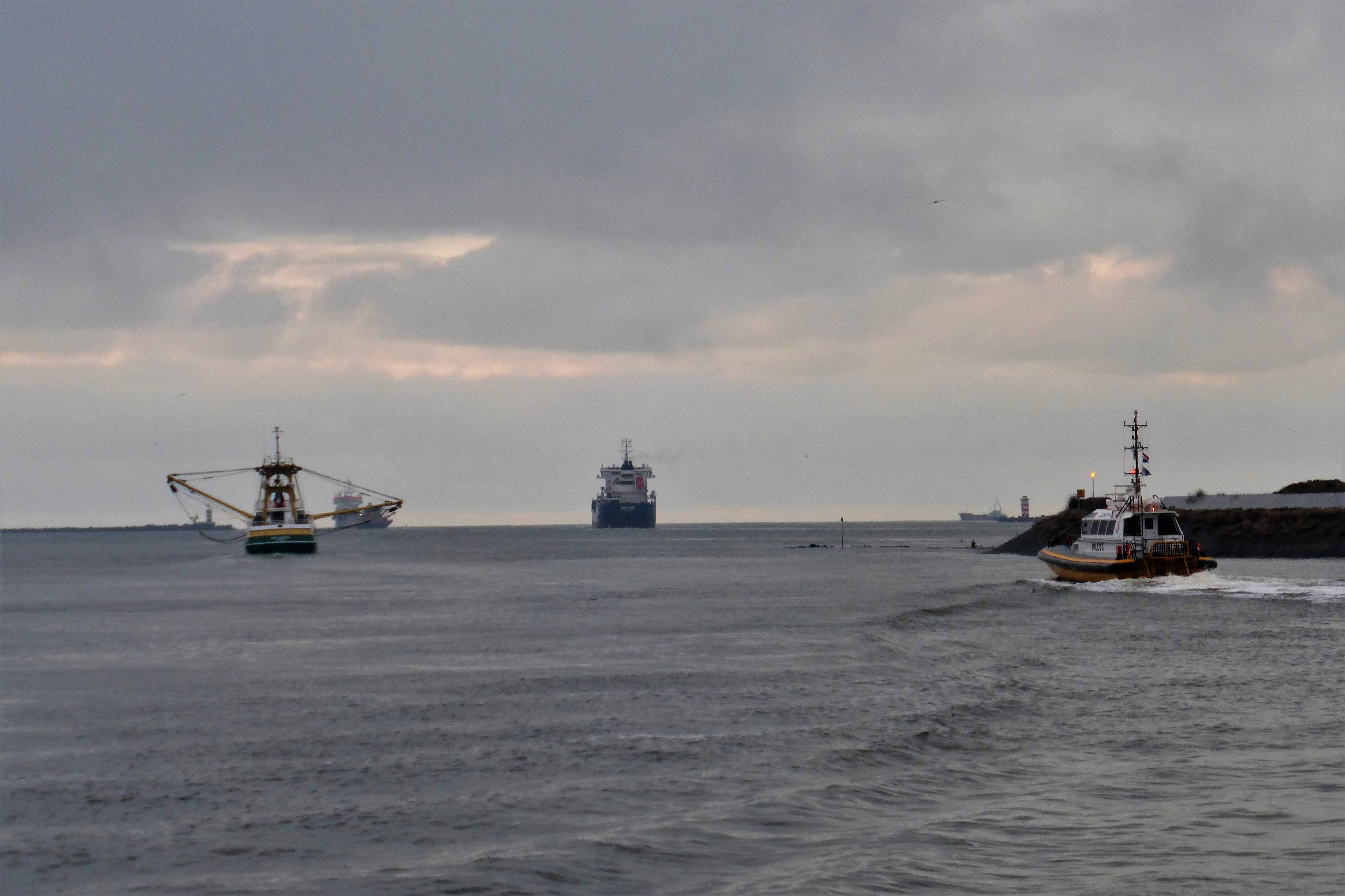 Pieren IJmuiden   13-12-19 